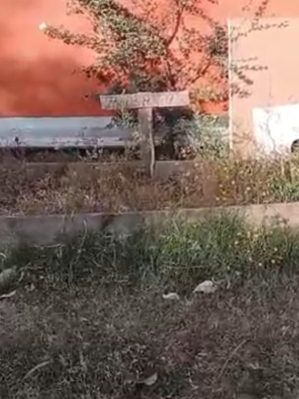 Cuidado y riego de plantas Crecimiento